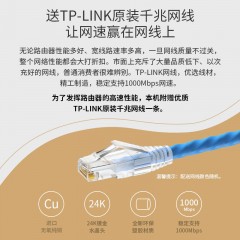 TP-LINK-5620双千兆路由器